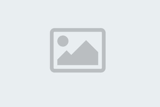 Development of digital platforms and applications